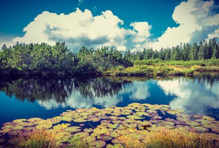 ƶ|ɽ׵طƶǨƶ˿ȫȶƶ